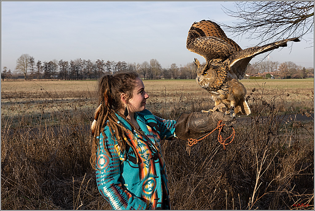 Cheyenne-Halbblut Hunting Wolf in der Falknerei Pierre Schmidt; Gymnich, 09.02.2023